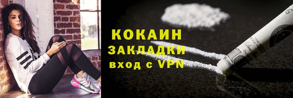 эйфоретик Арсеньев