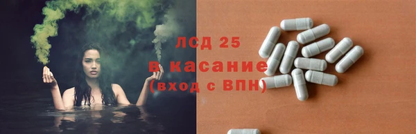 эйфоретик Арсеньев