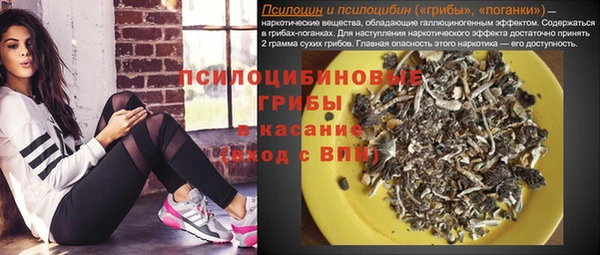 эйфоретик Арсеньев