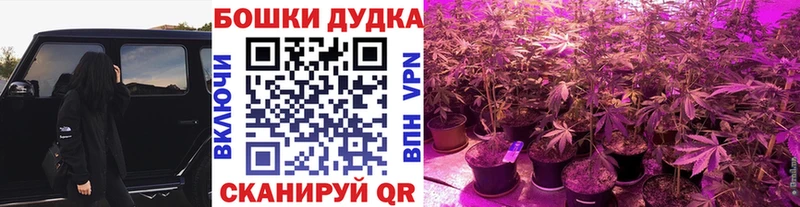 МАРИХУАНА ГИДРОПОН  Купить закладки  Ступино 